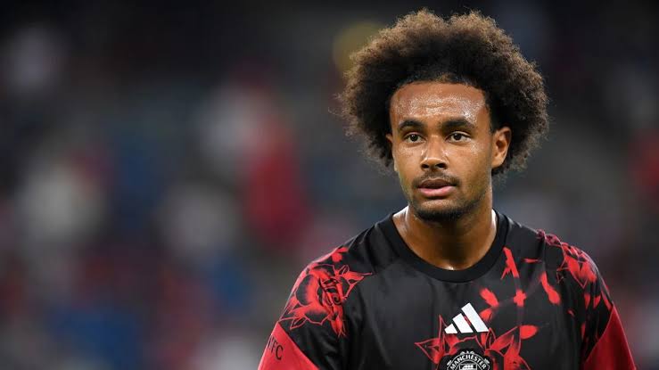 Zirkzee called into Netherlands squad to replace injured Brobbey